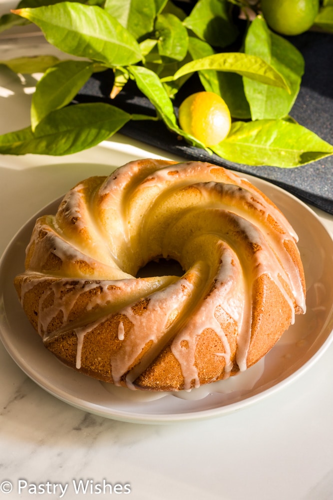 lemon olive oil cake on a white plate with lemon and branch in the background