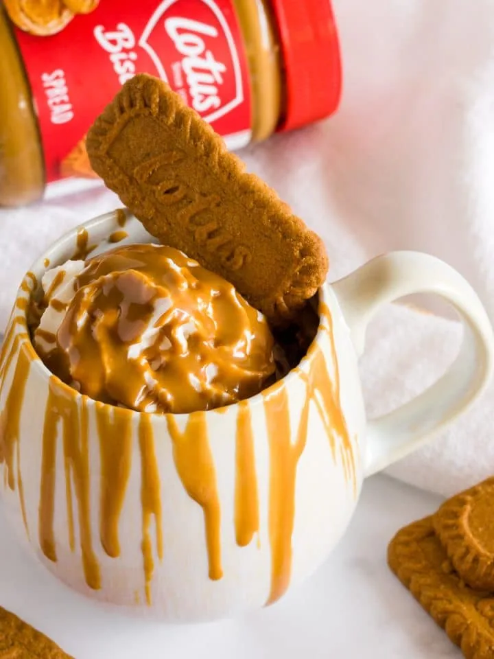 Biscoff mug cake with whipped cream, biscoff cookies and melted biscoff spread.