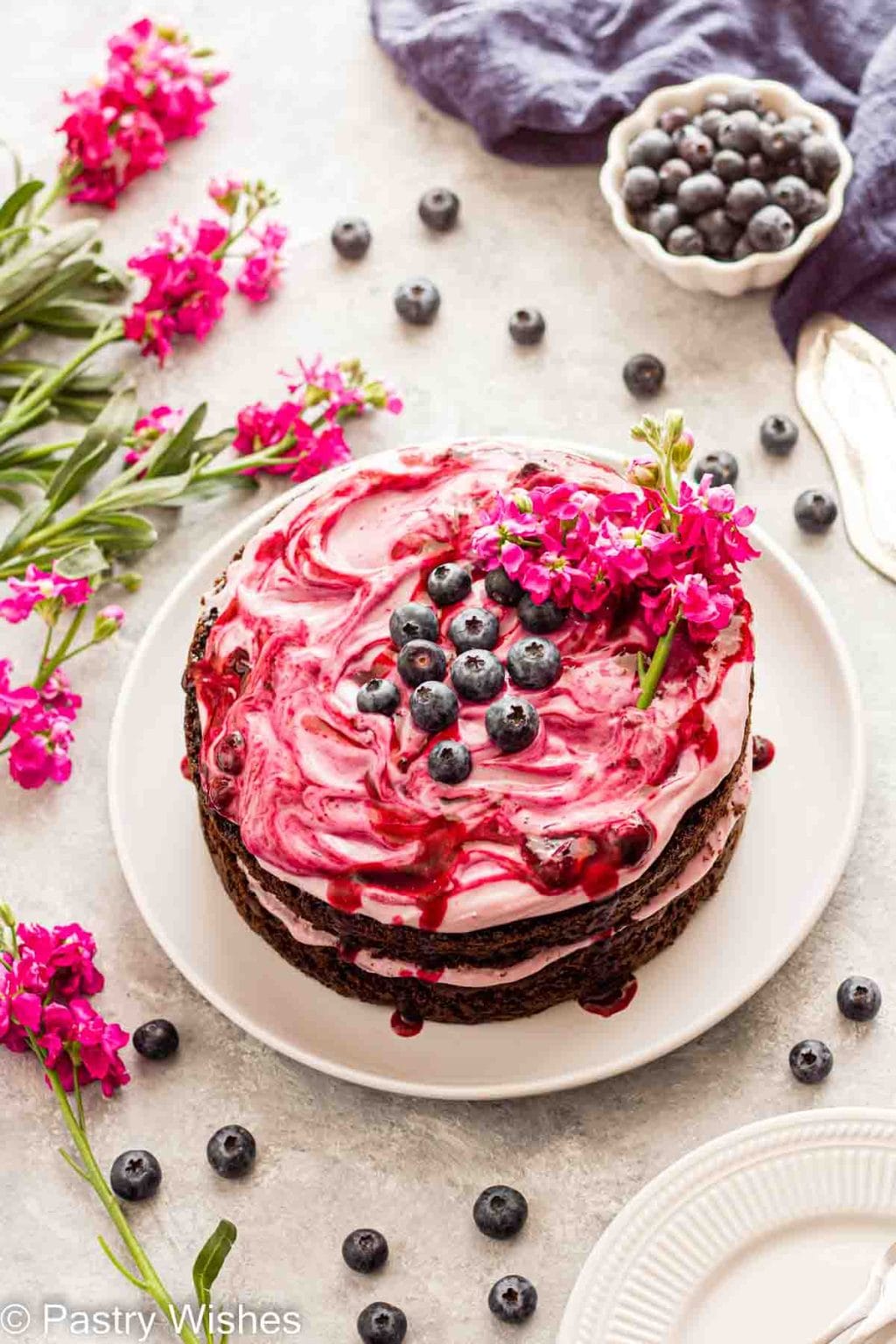 Easy Blueberry Chocolate Cake Pastry Wishes