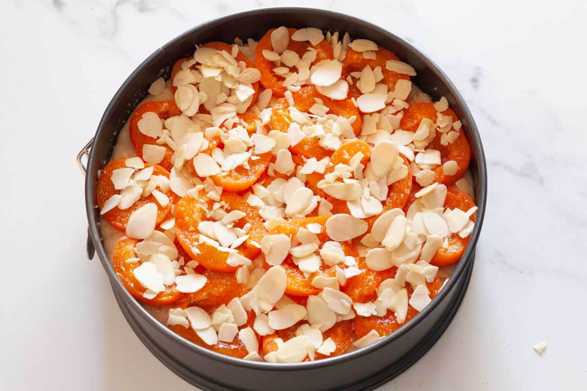 Apricot halves topped with sliced almonds over cake batter in a springform baking pan before baking.