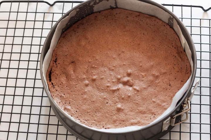 Partially baked brownie base in a springform pan lined with parchment paper.