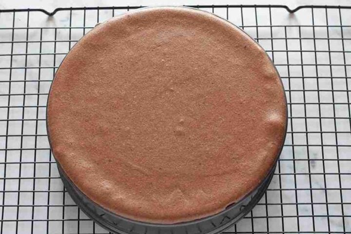 Baked chocolate cheesecake cooling on wire rack.